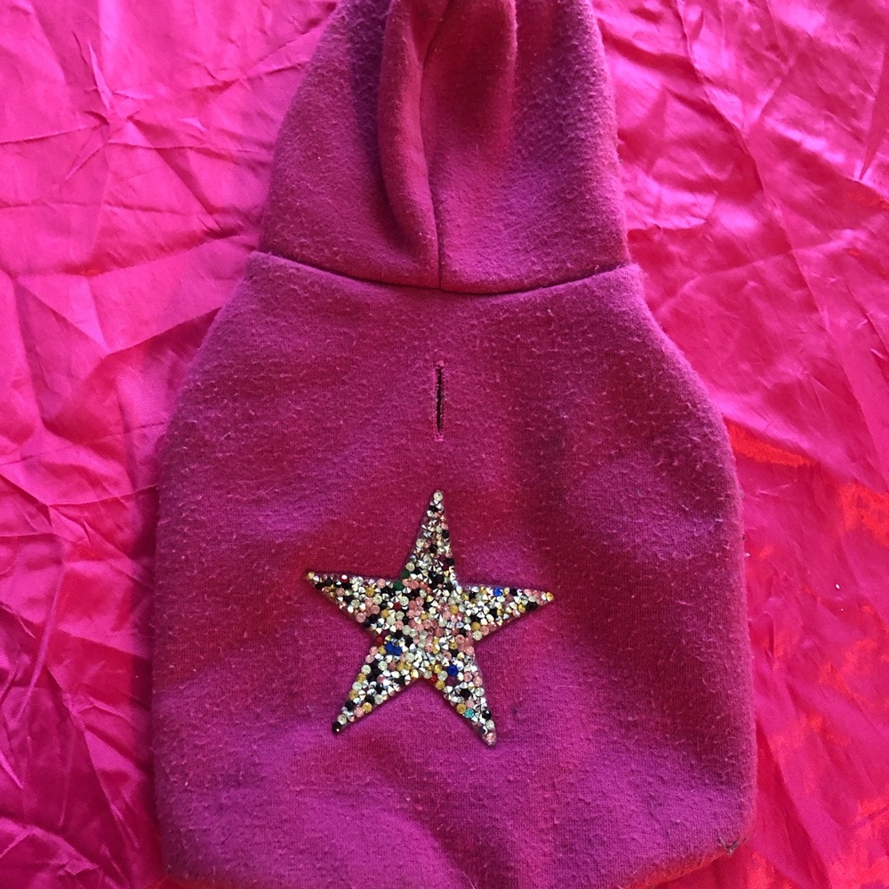 Dog hoodie